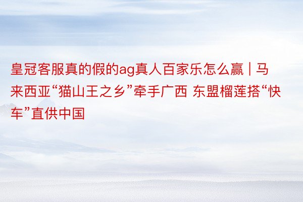 皇冠客服真的假的ag真人百家乐怎么赢 | 马来西亚“猫山王之乡”牵手广西 东盟榴莲搭“快车”直供中国