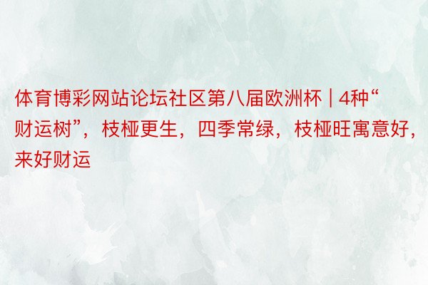 体育博彩网站论坛社区第八届欧洲杯 | 4种“财运树”，枝桠更生，四季常绿，枝桠旺寓意好，带来好财运