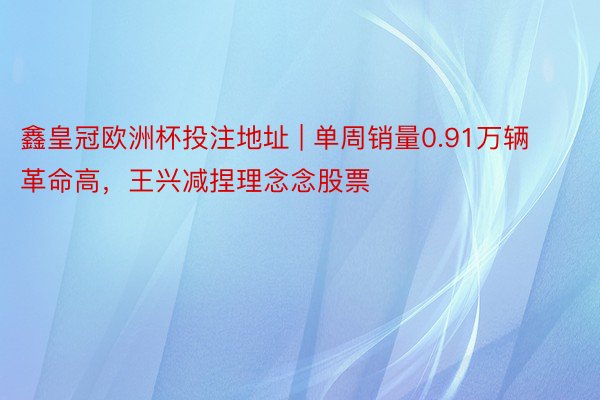 鑫皇冠欧洲杯投注地址 | 单周销量0.91万辆革命高，王兴减捏理念念股票